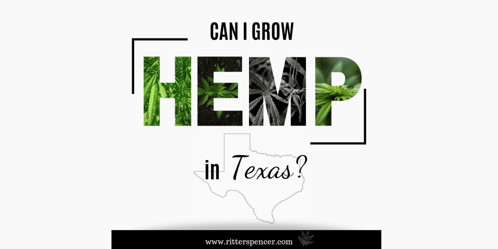 Can I Grow Hemp in Texas