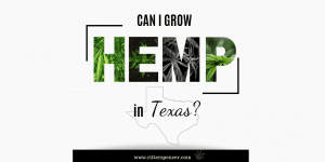 Can I Grow Hemp in Texas