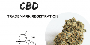 Canna-Brand It - CBD Trademark Registration