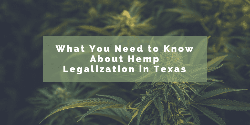 Hemp Lawyer Chelsie Spencer Interviewed by Texas Cannabis Collective