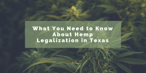 Hemp Lawyer Chelsie Spencer Interviewed by Texas Cannabis Collective