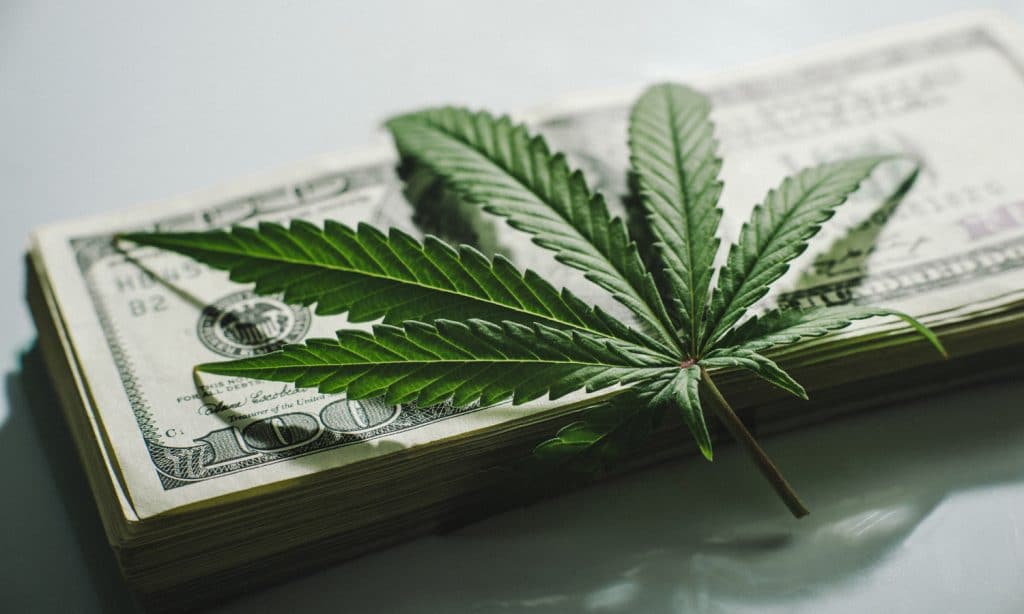 Financial Due Diligence for Hemp-Related Businesses