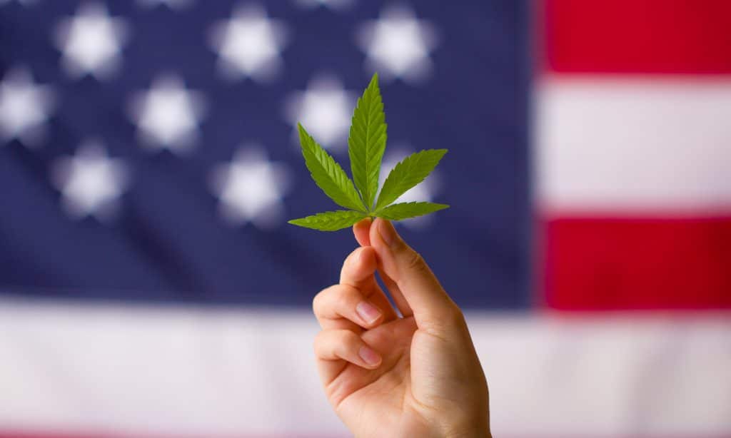 What the 2020 Election Results Mean for Marijuana in 2021