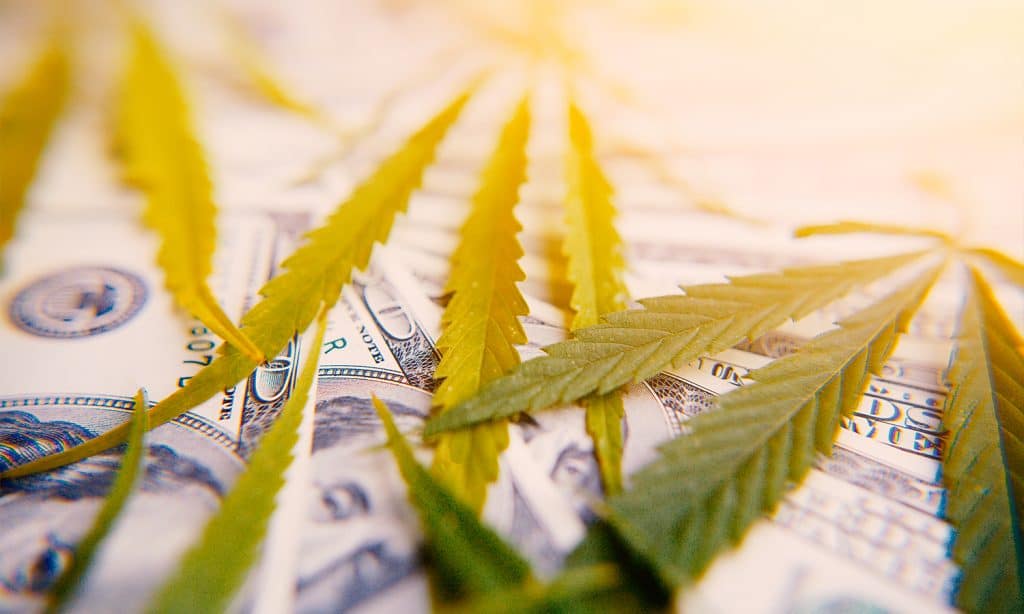 Can Cannabis Businesses File for Bankruptcy?