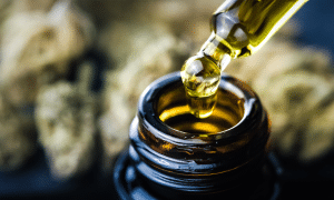 FDA Rejects Charlotte's Web Application for CBD as a Dietary Supplement