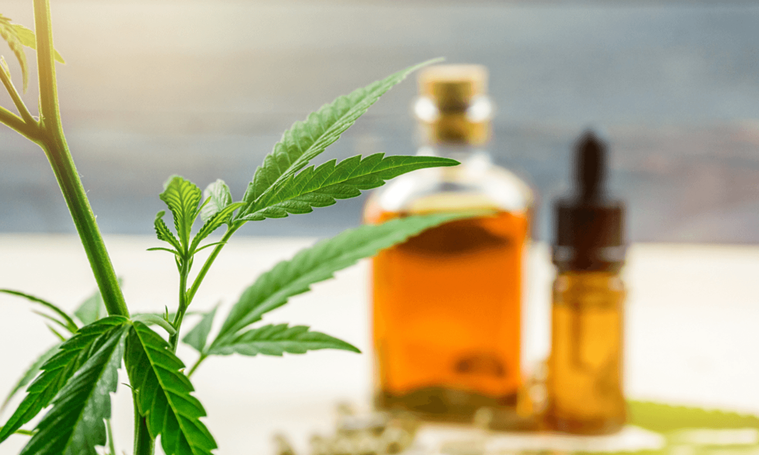 California Legalizes the Sale and Manufacture of CBD-Infused Products
