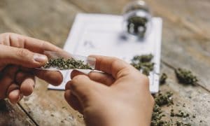 New York Cannabis Board Regulates Adult Use of Marijuana