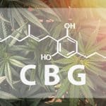 Full frame overhead shot of Medical Cannabis with the CBG Cannabigerol letters and chemical structure